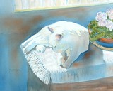 by Edie Schneider