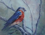 by Beth Clark