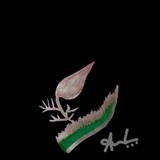 by ammulu .