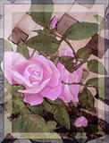 by Rebecca Mullan