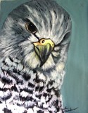 by Yvette Gaudreau
