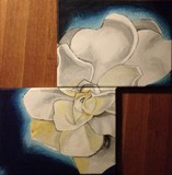 by tuesdae Gonzalez