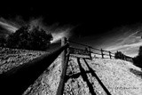 by Scott  Alexander Jack