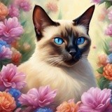 by Mihaela B