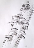 by Smiljan Holy