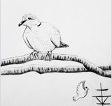 by Karina Hopkins