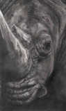 by Rand Arrington