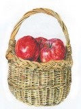 by Bense László