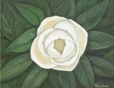 by Dawn Thibodeaux