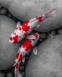 by Terry Gilecki