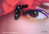 by Christina Gattorno