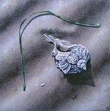 by Cristina Marsi