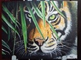 by Ramesh Babu