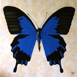 by ria van meijeren