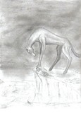 by megan berg