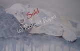by Robert Ryan