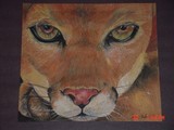 by Jenny Skinner