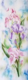 by Ruth Welter
