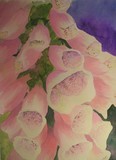 by Joanne Simpson-Connor