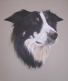 by Joanne Simpson-Connor