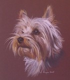 by Joanne Simpson-Connor