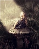 by Alexandra V Bach