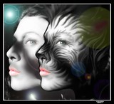by Dorothy Seefelt