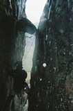by Robert Reglinski