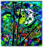by Barry Huyett