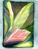by Kathryn Adames