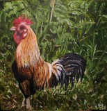 by Liz Robinson