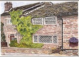 by Liz Robinson