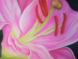 by Rebecca Langlois