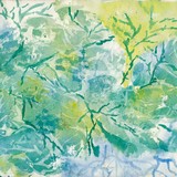 by Kathie Nichols