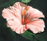 by Barbara Keith
