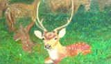 by Nilantha Lokunarangode