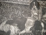 by Ella  Freeman