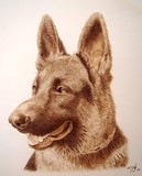by Juan Carlos Gonzalez