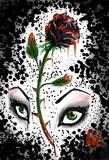 by Jill Donison