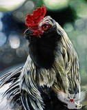 by Cara Bevan