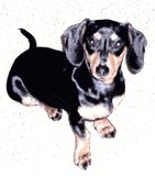 by Penny Everhart