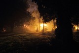 by CHRISTOPHER DONOHOE