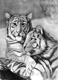 by Sharon Simmons