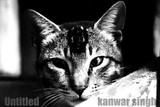 by kanwar singh