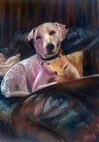 by MATTHEW DAVID EVANS