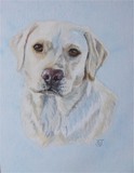 by Sharon Jarvis