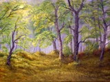 by Ferenc Ila