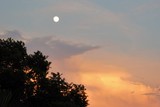 by Debra Kott