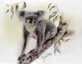 by Geraldine Simmons