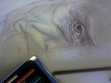 by Joshua Menendez